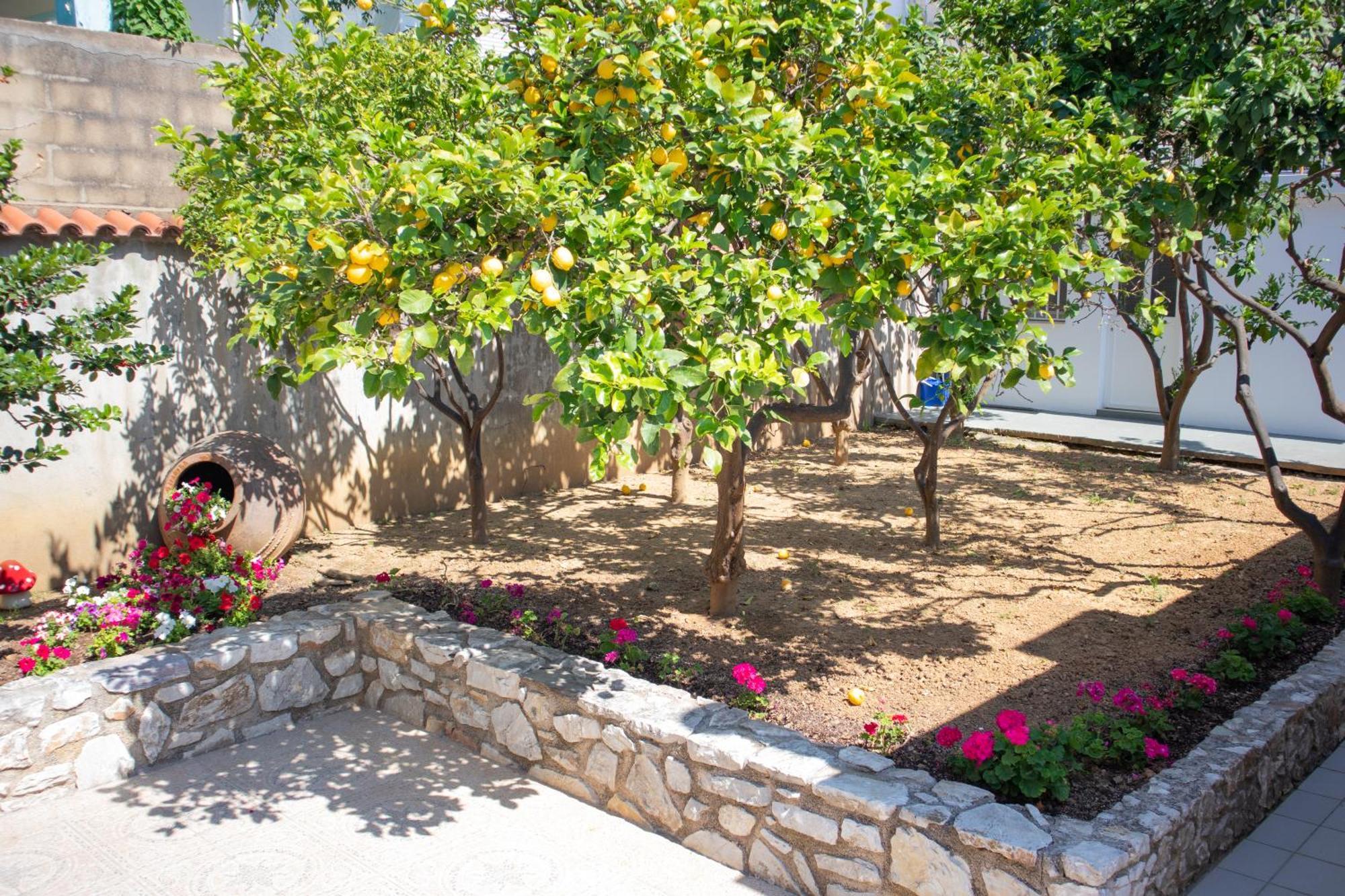 Athanasia Apartments Skiathos Town Ngoại thất bức ảnh